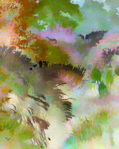 Bunte Waldlandschaft