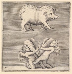 Ein gegürtetes Schwein und zwei Cupidos oder Genien mit einem Schmetterling oder einer Motte