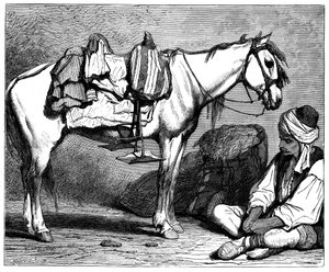 Ein bosnischer Bauer, c1890