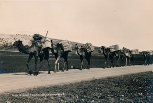 Eine Kamelkarawane auf dem Weg nach Damaskus