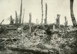 Ein Unterstand in einem einst idyllischen Wald, 1919