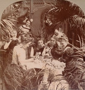 Ein Vermögen in einer Teetasse, 1901