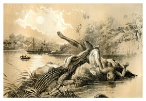 Ein schrecklicher Vorfall, 1883 von Unbekannt