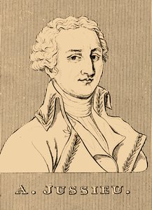 A. Jussieu, 1748-1836 von Unbekannt