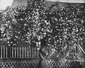 Ein mit Rosen geschmücktes Heim, Südkalifornien, USA, ca. 1900