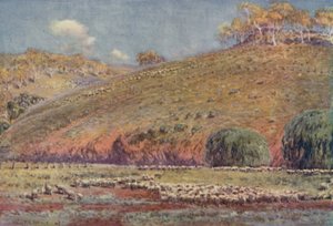 Eine Schafweide, 1923