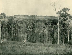 Ein viktorianischer Bergbauernhof, 1901
