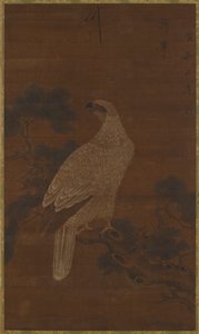 Ein Weißer Adler auf einem Kiefernzweig, Ming- oder Qing-Dynastie, 17. Jahrhundert von Unbekannt