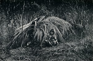 Eine Yaghan-Hütte in Fuegia, 1911