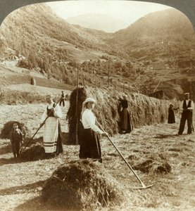 Eine Bauernfamilie macht Heu auf einem sonnigen Feld zwischen den Bergen, Røldal, Norwegen, um 1905