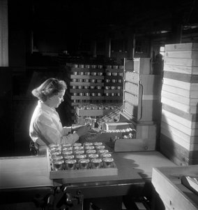 Eine Arbeiterin packt Zigarettendosen, London 1950 von Unbekannt