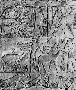 Eine Jagdszene aus dem Grab des Ptahhotep, nahe Saqqara, Ägypten, um 2650 v. Chr., 1936