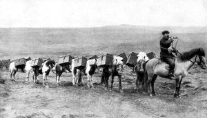 Eine Postkarawane überquert die isländischen Ebenen, Island, 1922