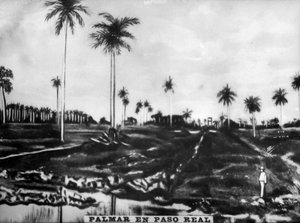 Aktion von PasoReal, 1896, 1920er Jahre von Unbekannt