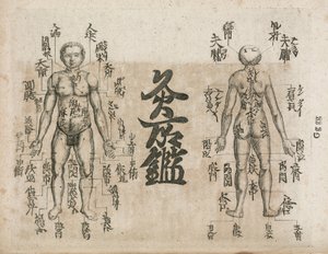 Akupunkturkarte des menschlichen Körpers, die die Punkte der Moxibustion anzeigt (Moxabustionsdiagramm, das zeigt, wo das Sengen vermieden werden sollte)