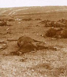 Nach dem Angriff, Beauséjour, Nordfrankreich, ca. 1914-1918 von Unbekannt