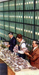 Luftschutzmaßnahmen, Zigarettenkarte, britisch, 1938