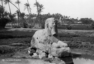 Alabastersphinx in Memphis, Ägypten, ca. 1920er-1930er Jahre