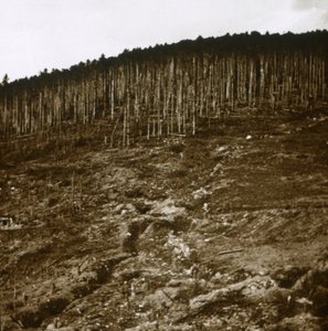 Elsass, um 1914-1918