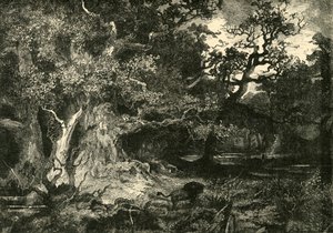 Ein deutscher Wald, 1890 von Unbekannt