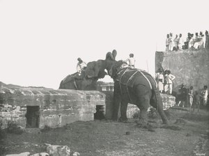 Ein Elefantenkampf, Hyderabad, Indien, 1895