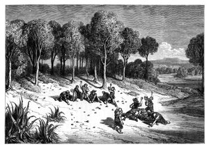 Ein Orangenhain im Süden Spaniens, um 1890
