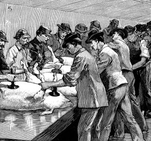Schlachthof der Armour Company, Chicago, Illinois, USA, 1892