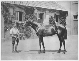Australian Star, 1911