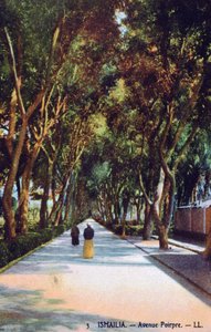 Avenue Poirpre, Ismailia, Ägypten, um 1900