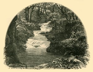 Bagworthy Wasserrutsche, 1898