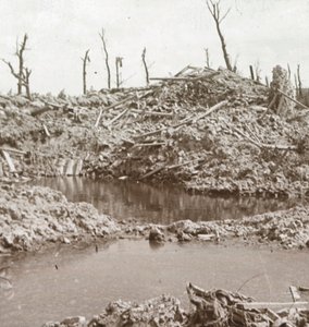 Ufer des Flusses Yser, Diksmuide, Belgien, ca. 1914-1918