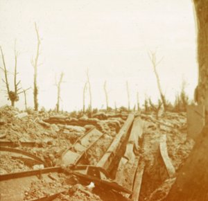 Ufer des Flusses Yser, Diksmuide, Belgien, um 1914-1918