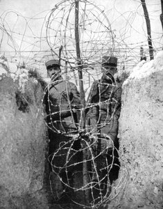 Stacheldraht um einen französischen Schützengraben, Erster Weltkrieg, 1915