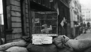 Barrikade in der Rue de Chateaudun, Befreiung von Paris, August 1944 von Unbekannt