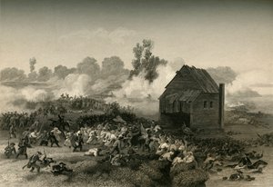 Schlacht von Long Island, 1877