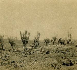 Schlachtfeld, Maurepas, Nordfrankreich, ca. 1914-ca. 1918 von Unbekannt