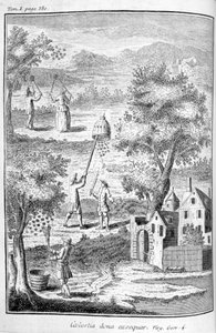 Imkerei, 1775 von Unbekannt