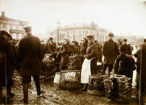 Vogelmarkt, Trubnaya-Platz, Moskau, Russland, 1908 von Unbekannt