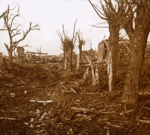 Zerstörte Landschaft, Belloy-en-Santerre, Nordfrankreich, ca. 1914-ca. 1918