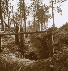 Bois-le-Prêtre, Nordfrankreich, ca. 1914-1915