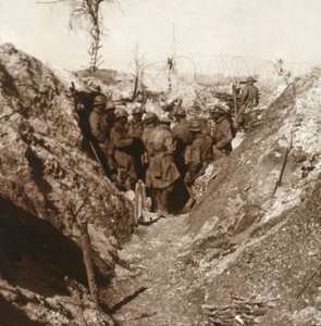 Bois de la Grille vor dem Angriff, Nordfrankreich, um 1914-1918