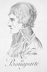 Bonaparte, 19. Jahrhundert