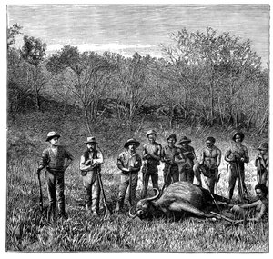 Büffeljäger im Transvaal, Südafrika, ca. 1890