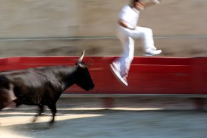 Stierkampf (Course camarguaise). Ein unblutiges Spektakel (für die Stiere), bei dem es darum geht, eine Rosette vom Kopf eines Stieres zu schnappen, Vallabregues, Frankreich