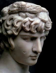 Büste des Antinous, Mitte 2. Jahrhundert n. Chr.