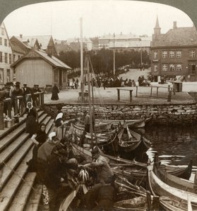 Fischkauf in einem geschäftigen arktischen Handelshafen, Tromsø 69° 38