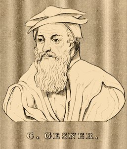 C. Gesner, 1516-1565, 1830 von Unbekannt