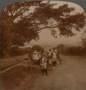 Von Einheimischen gezogene Kutschen auf einer Wohnstraße, Durban, Südafrika, ca. 1900