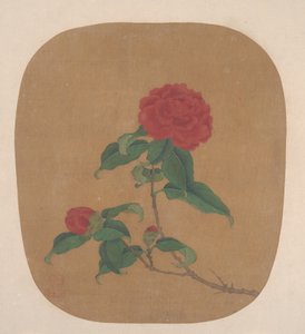 Kamelienblüten