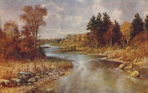 Kanadische Waldszene, 1924 von Unbekannt